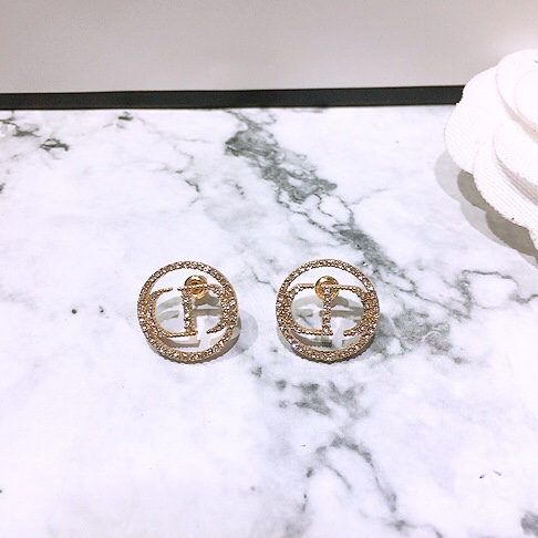 Dior Earring 04lyr321